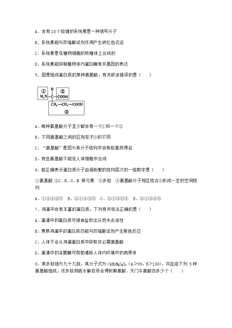 沪教版高中生物必修1第四节细胞的功能主要由蛋白质完成作业含答案302