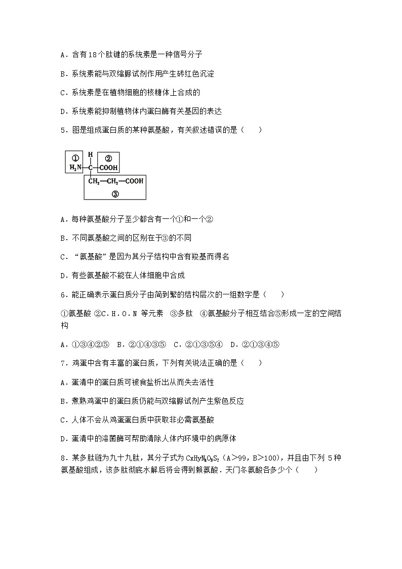 沪教版高中生物必修1第四节细胞的功能主要由蛋白质完成作业含答案3第2页