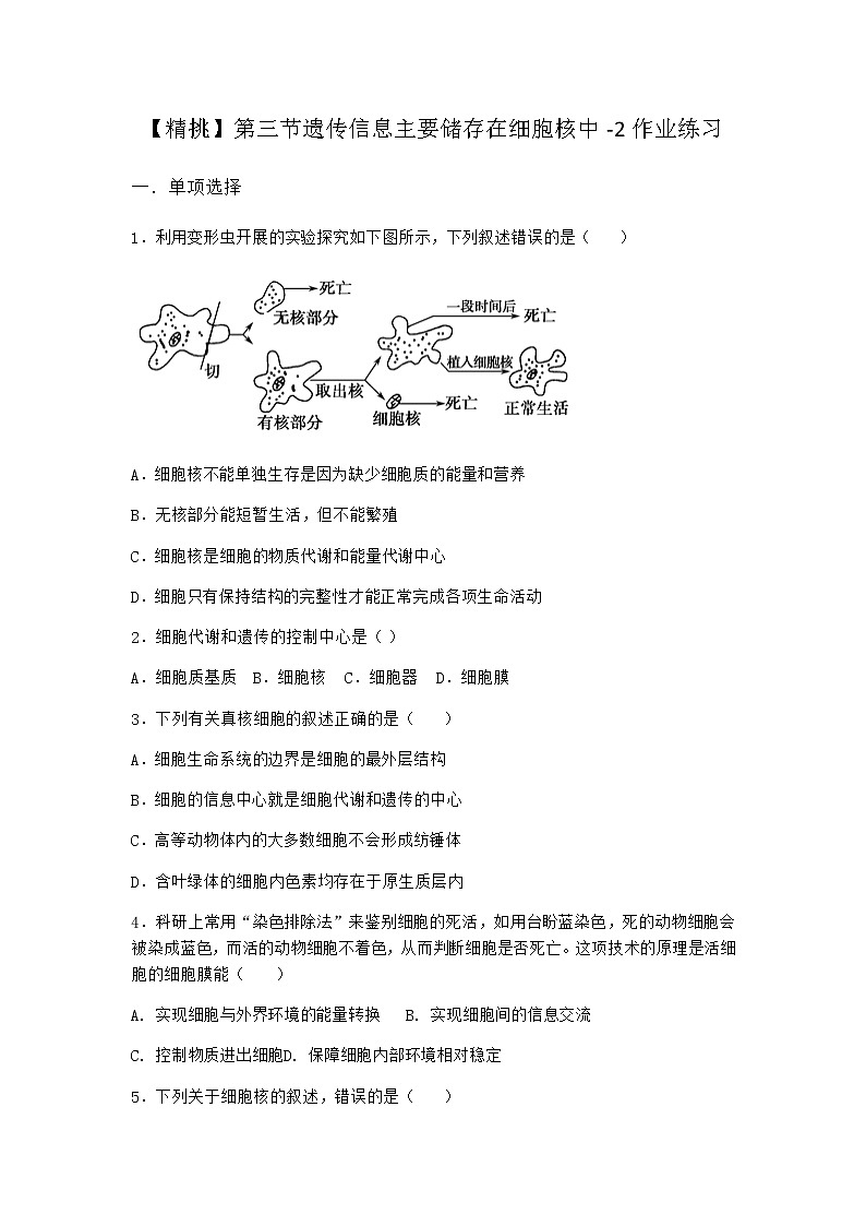 沪教版高中生物必修1第三节遗传信息主要储存在细胞核中作业含答案1第1页