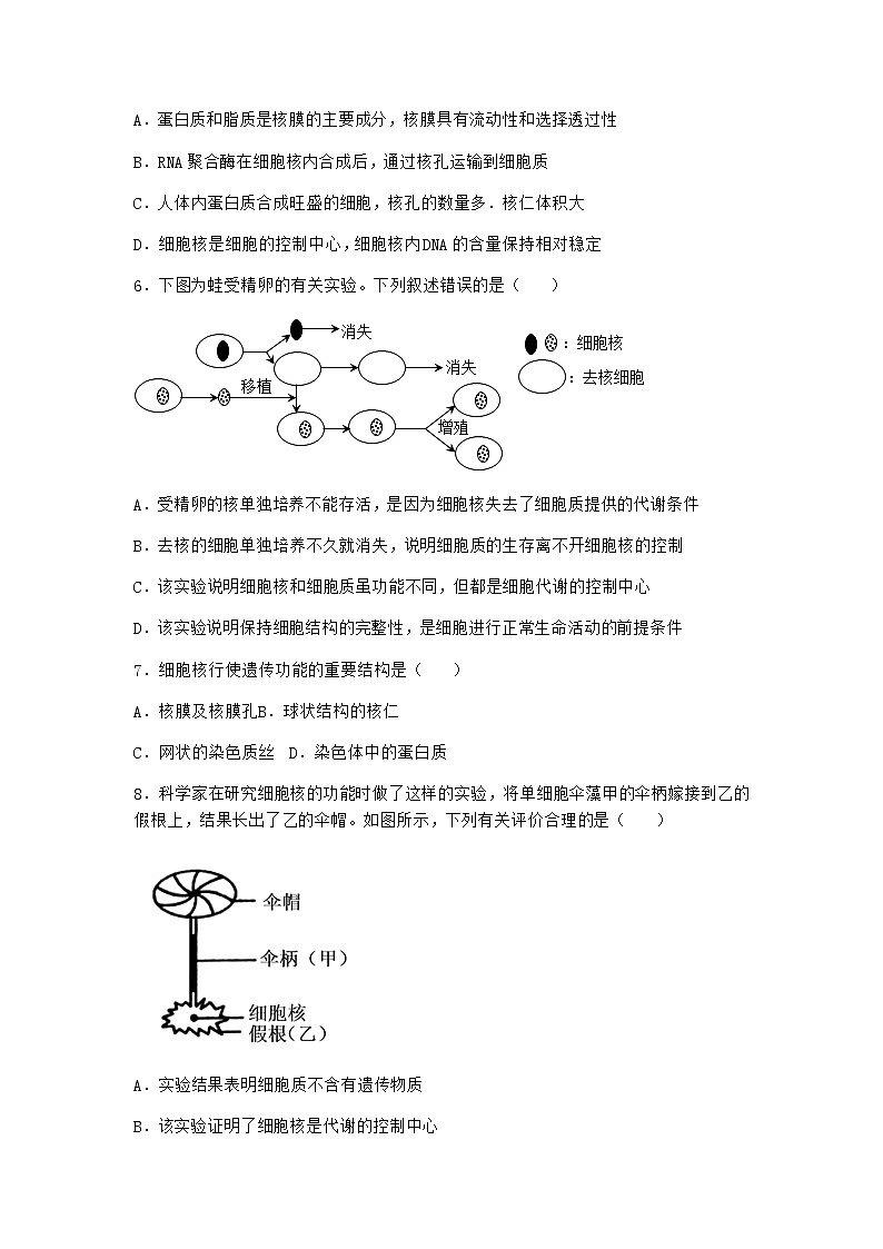 沪教版高中生物必修1第三节遗传信息主要储存在细胞核中作业含答案1第2页