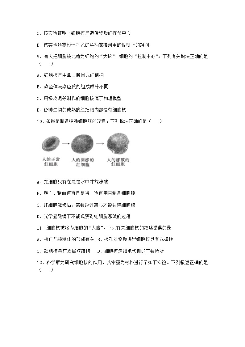 沪教版高中生物必修1第三节遗传信息主要储存在细胞核中作业含答案1第3页