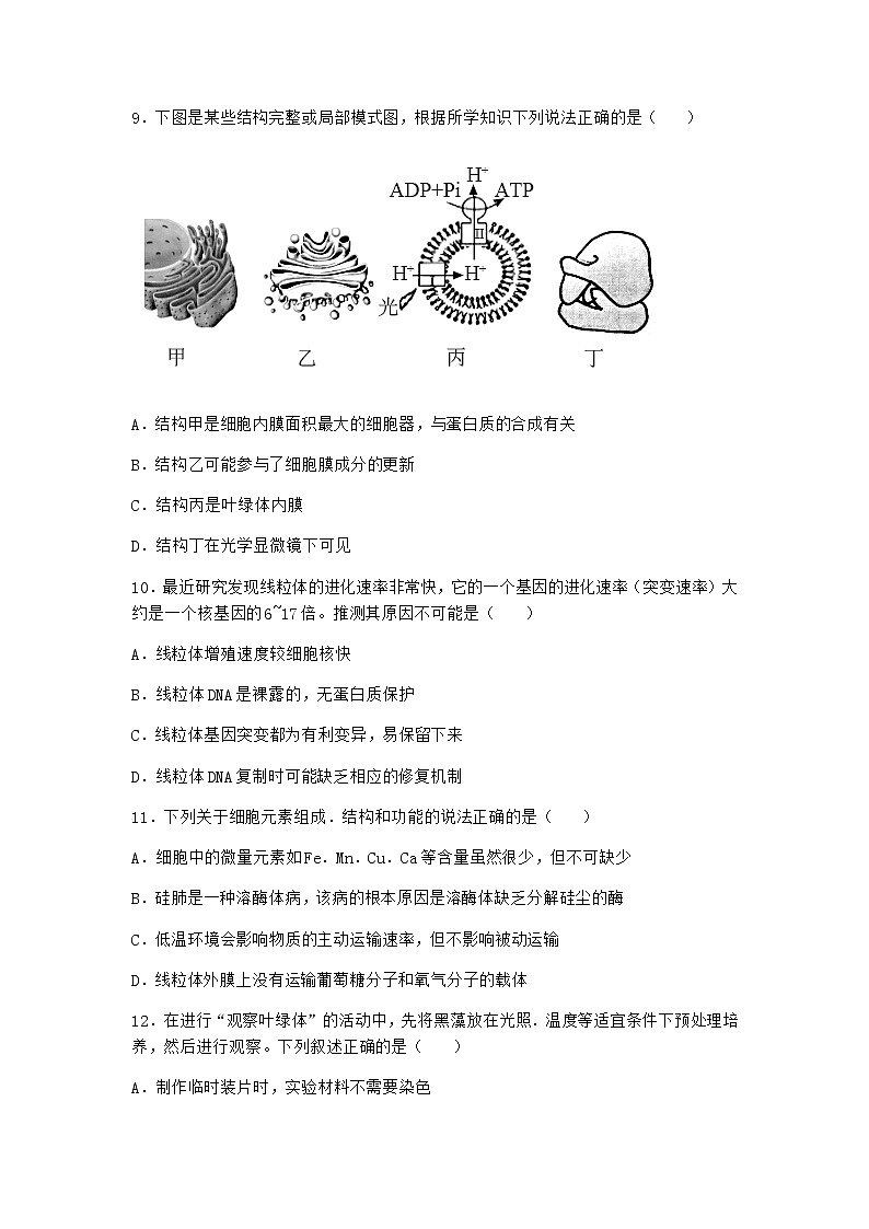 沪教版高中生物必修1第二节细胞内具有许多相对独立的结构作业含答案1第3页