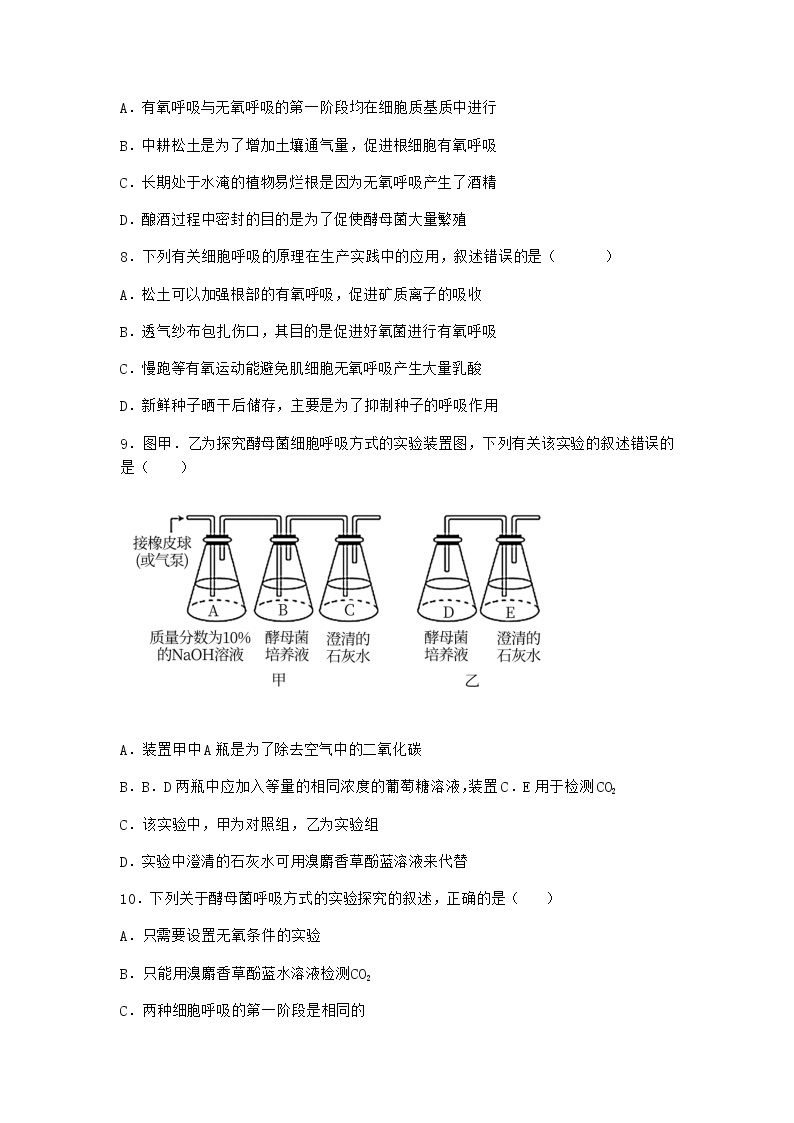 沪教版高中生物必修1第三节ATP是驱动细胞生命活动的直接能源物质作业含答案103