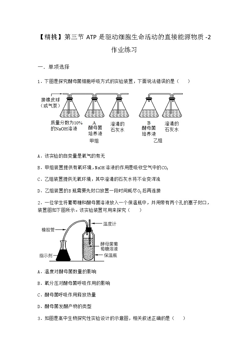 沪教版高中生物必修1第三节ATP是驱动细胞生命活动的直接能源物质作业含答案401