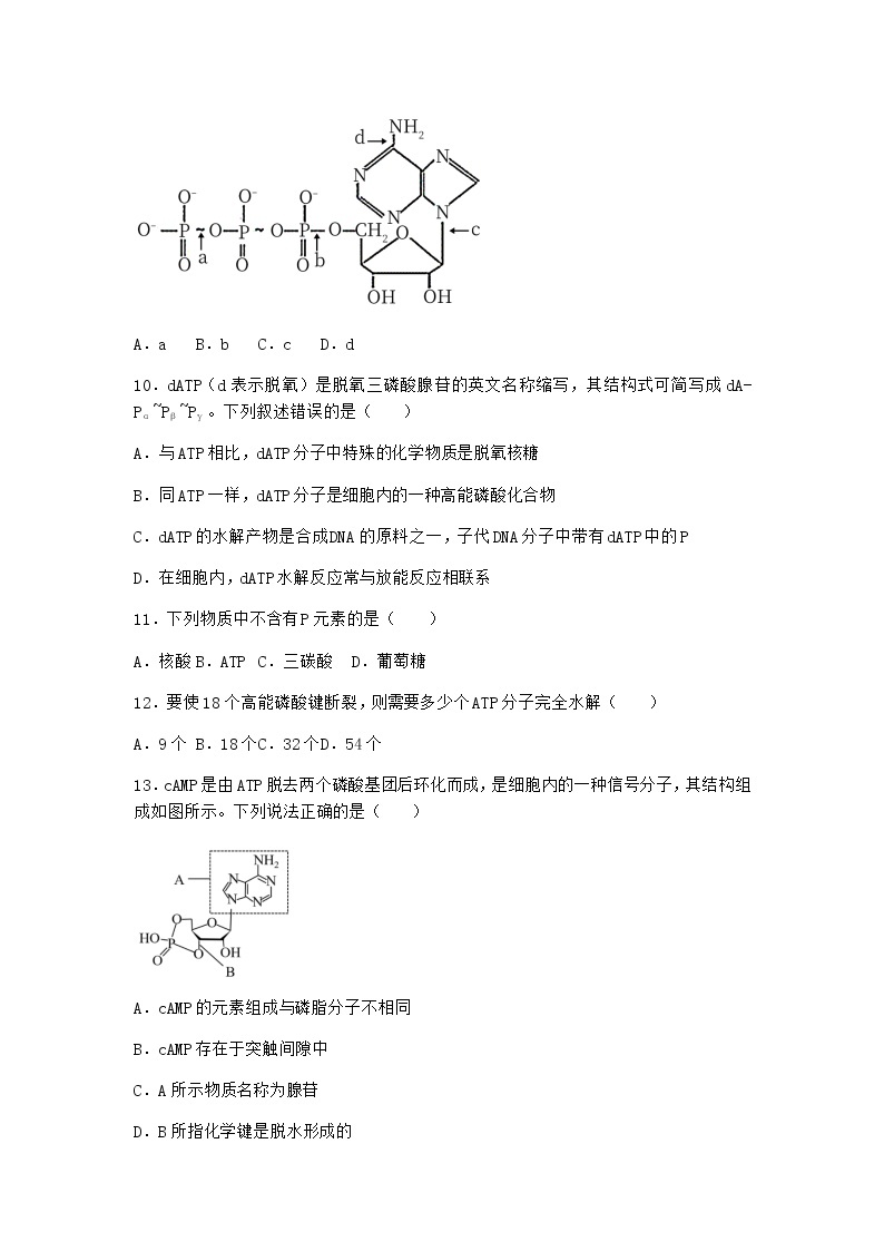沪教版高中生物必修1第二节酶是细胞生化反应的催化剂作业含答案103