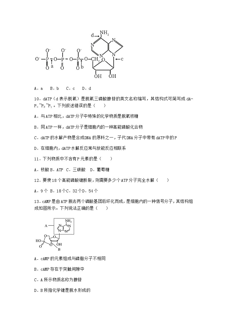 沪教版高中生物必修1第二节酶是细胞生化反应的催化剂作业含答案1第3页