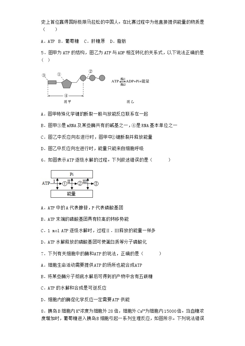 沪教版高中生物必修1第二节酶是细胞生化反应的催化剂作业含答案202