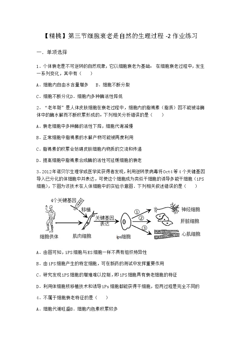 沪教版高中生物必修1第三节细胞衰老是自然的生理过程作业含答案101