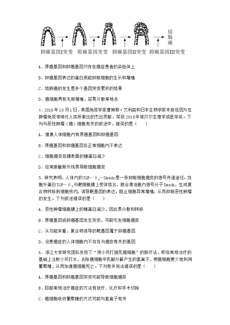 沪教版高中生物必修1第四节细胞凋亡是自然的细胞死亡方式作业含答案302