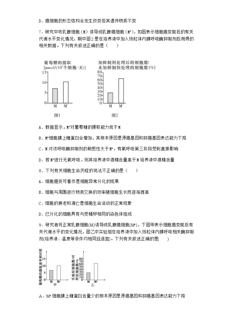 沪教版高中生物必修1第四节细胞凋亡是自然的细胞死亡方式作业含答案303