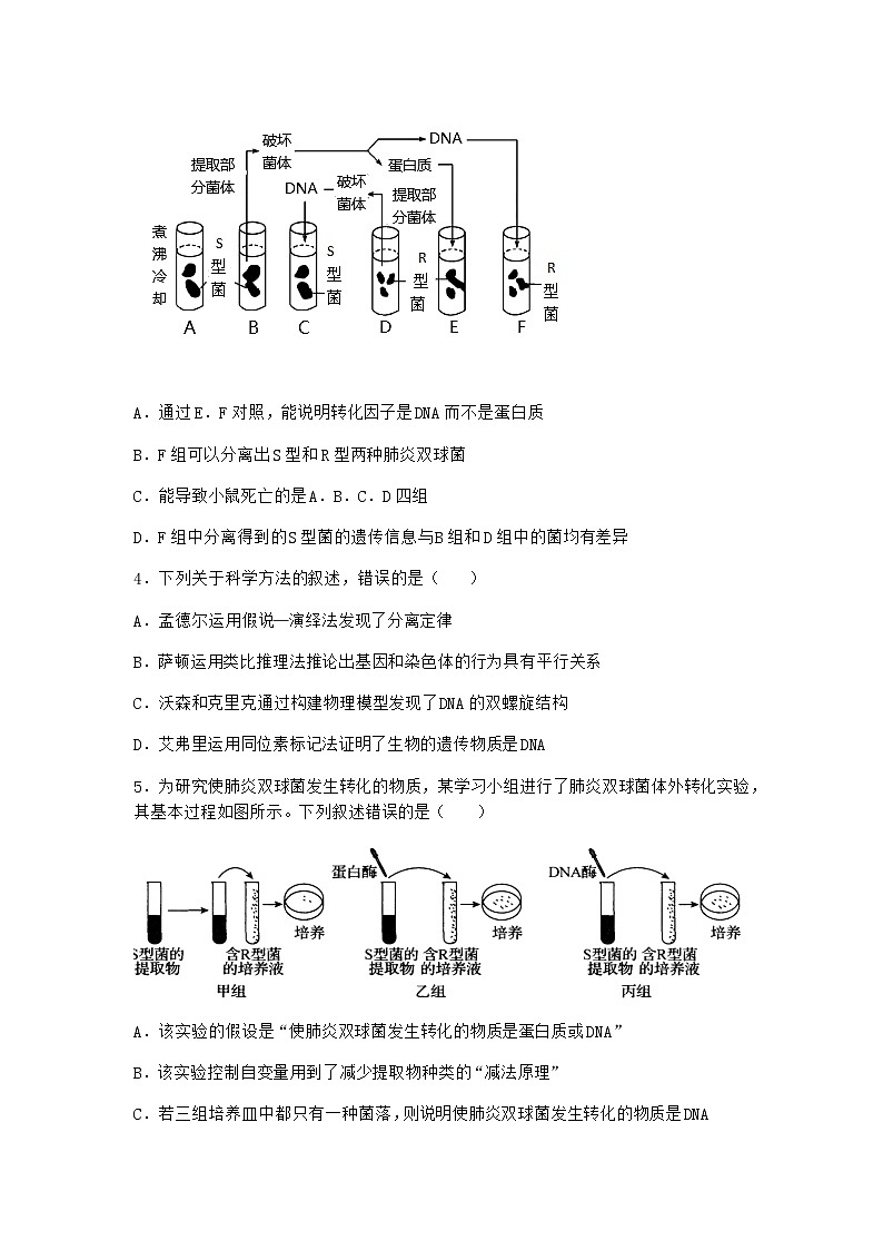 沪教版高中生物必修2第一节DNA是主要的遗传物质优选作业含答案1第2页
