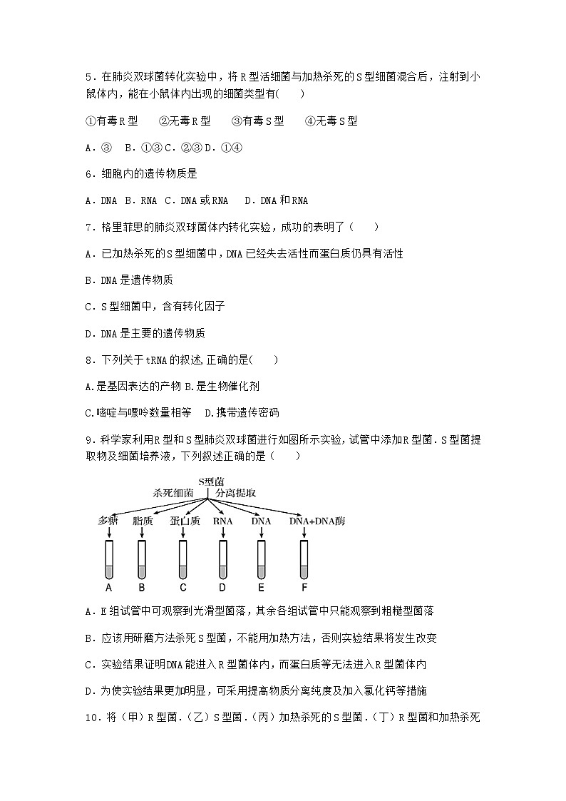 沪教版高中生物必修2第三节DNA分子的复制优选作业含答案3第2页