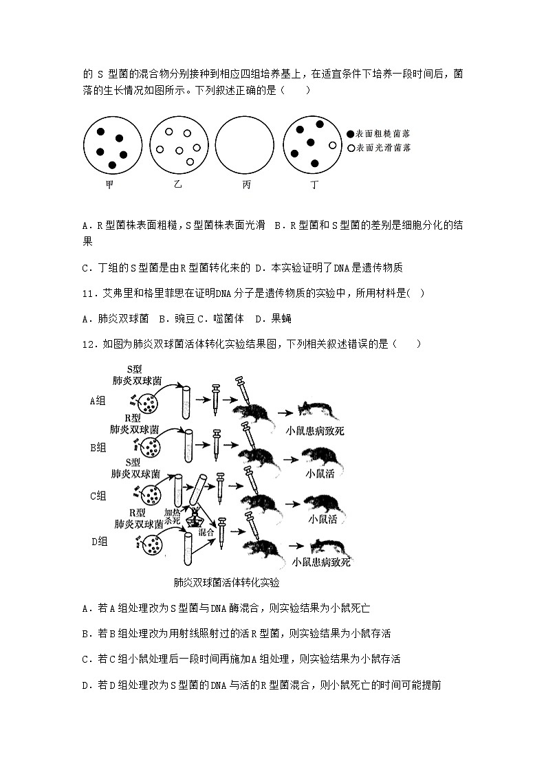 沪教版高中生物必修2第三节DNA分子的复制优选作业含答案3第3页