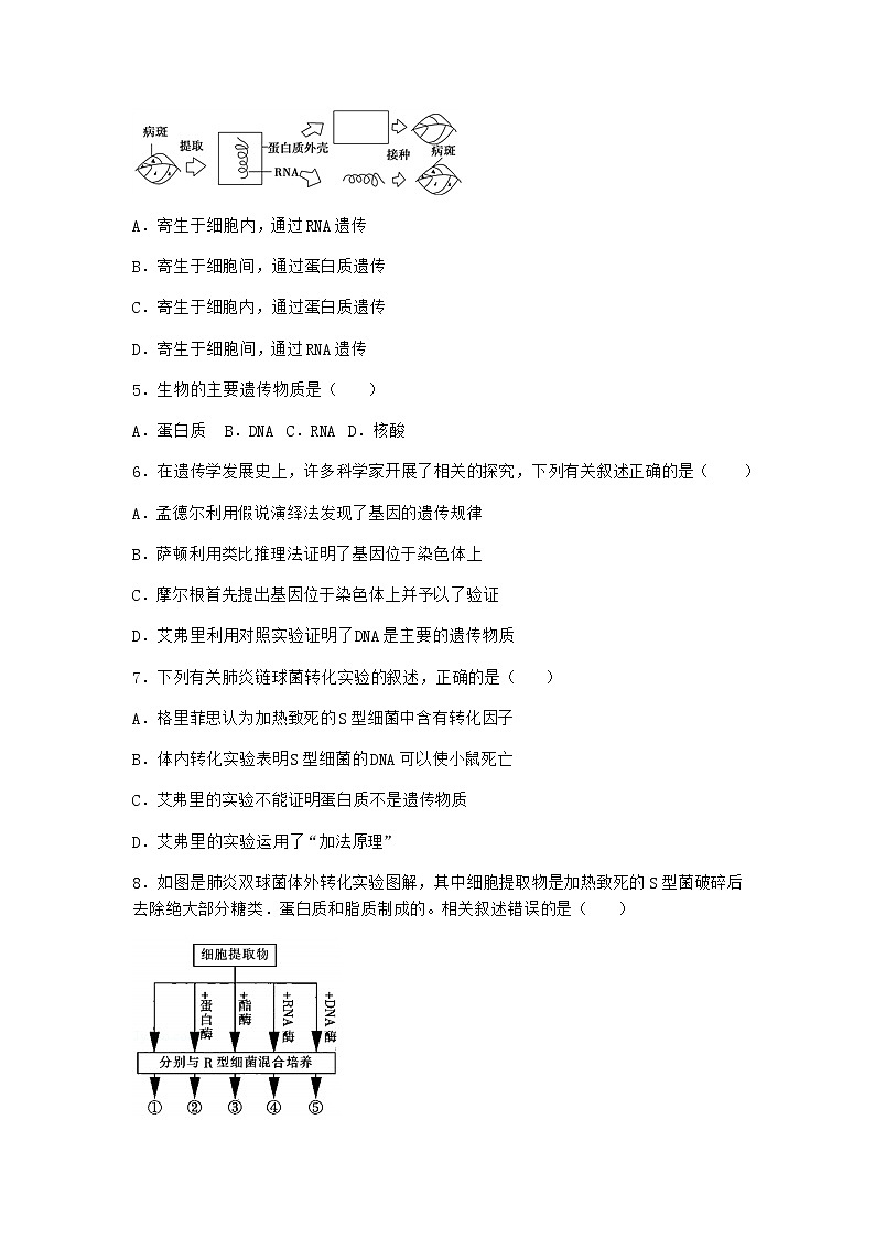沪教版高中生物必修2第三节DNA分子的复制优选作业含答案5第2页