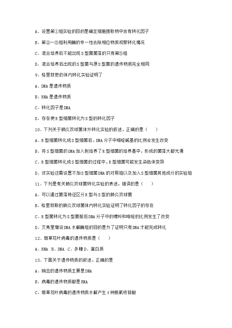 沪教版高中生物必修2第三节DNA分子的复制优选作业含答案5第3页