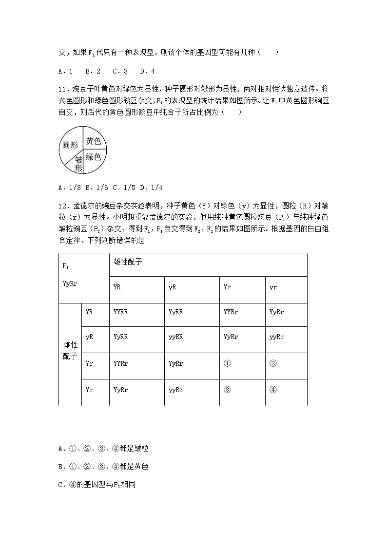 沪教版高中生物必修2第四节有性生殖中发生基因的自由组合优选作业含答案3第3页