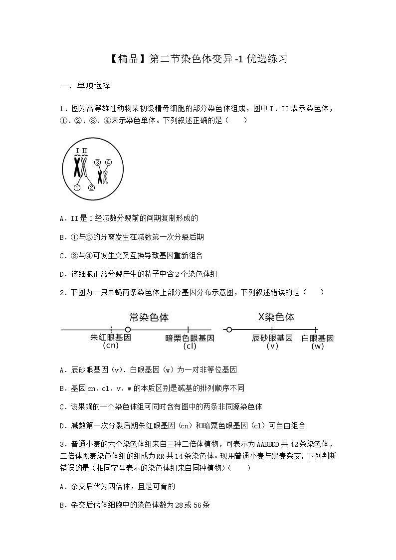 沪教版高中生物必修2第二节染色体变异优选作业含答案2第1页