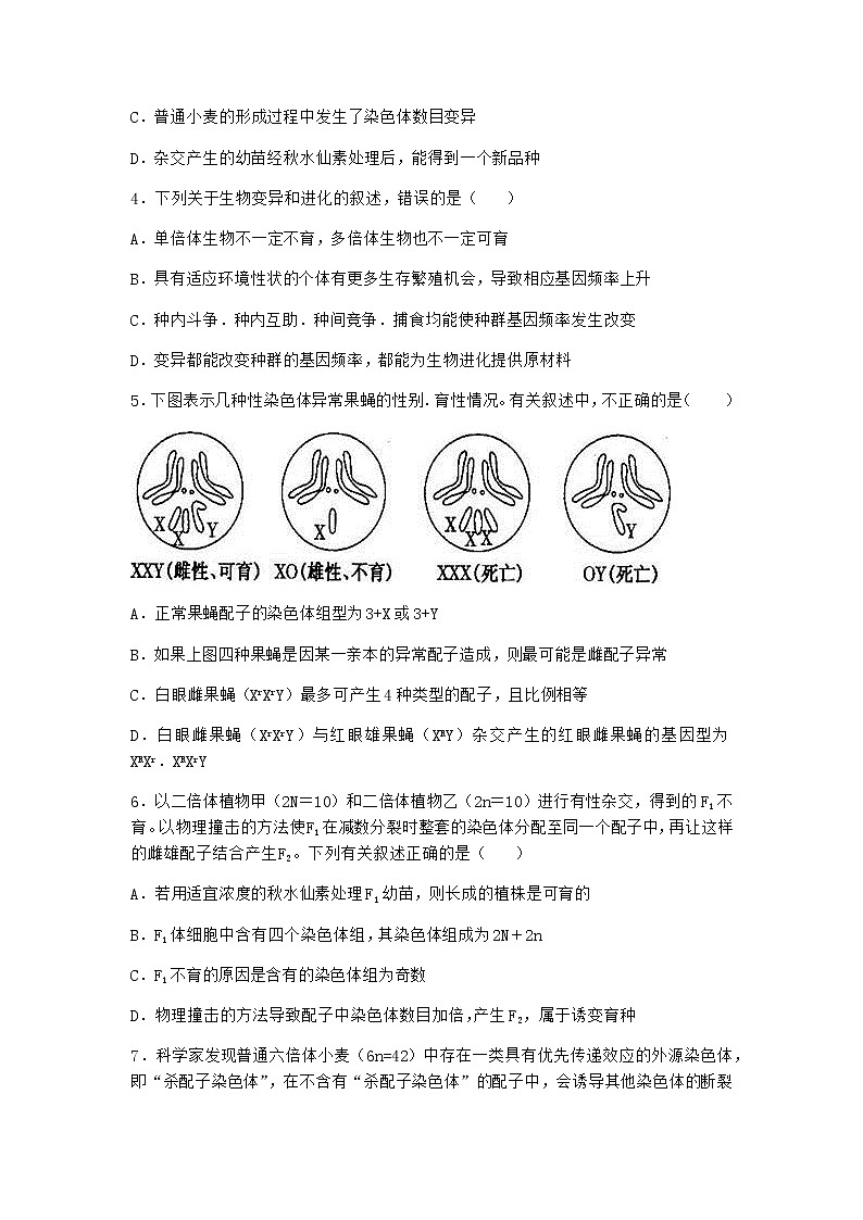 沪教版高中生物必修2第二节染色体变异优选作业含答案2第2页