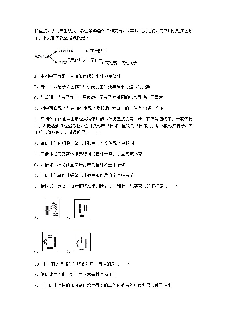 沪教版高中生物必修2第二节染色体变异优选作业含答案2第3页