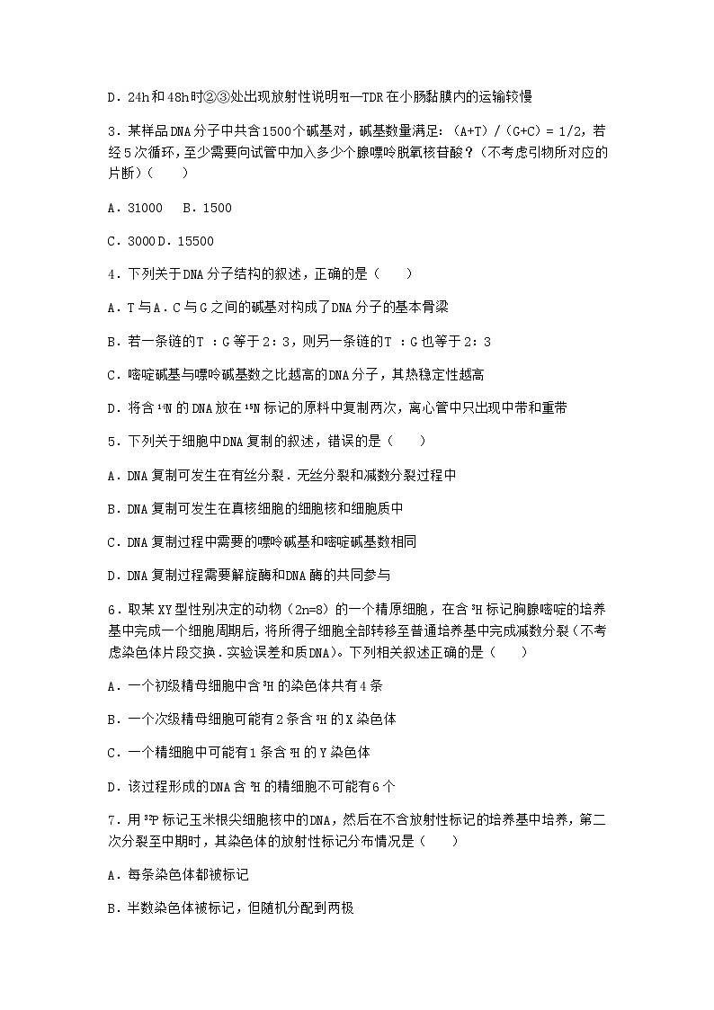 沪教版高中生物必修2第二节DNA分子的结构优质作业含答案202