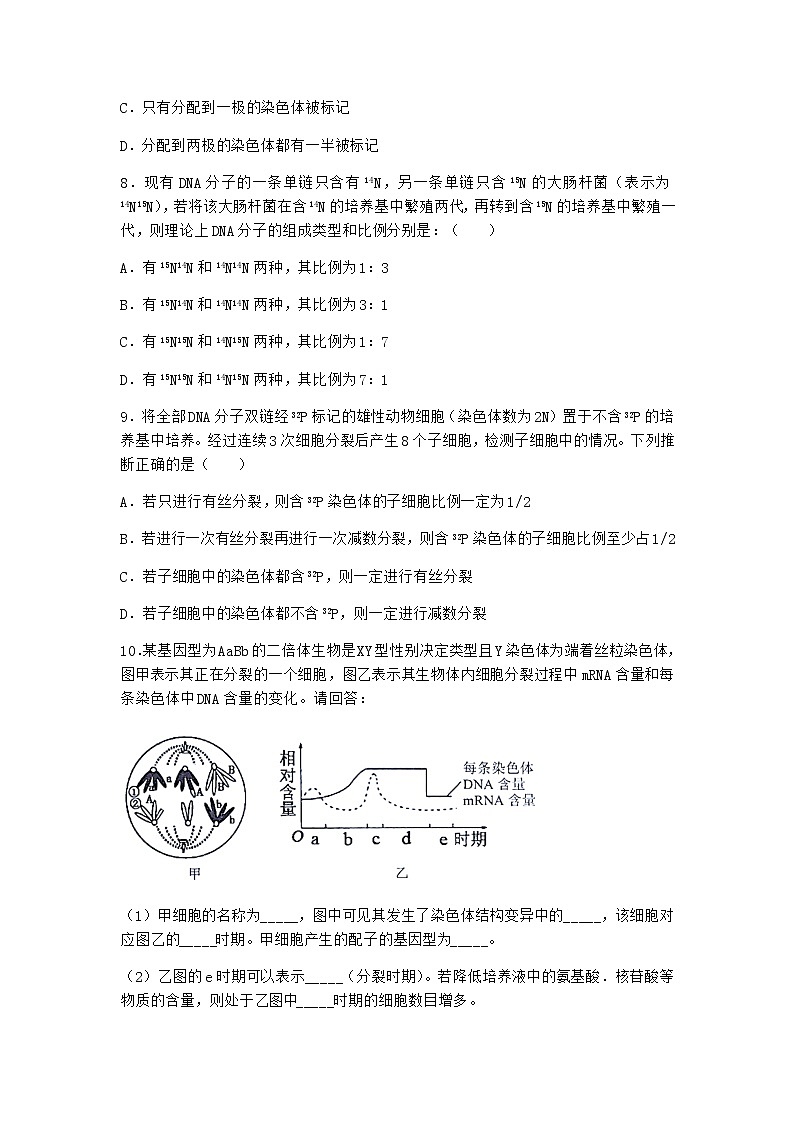 沪教版高中生物必修2第二节DNA分子的结构优质作业含答案203