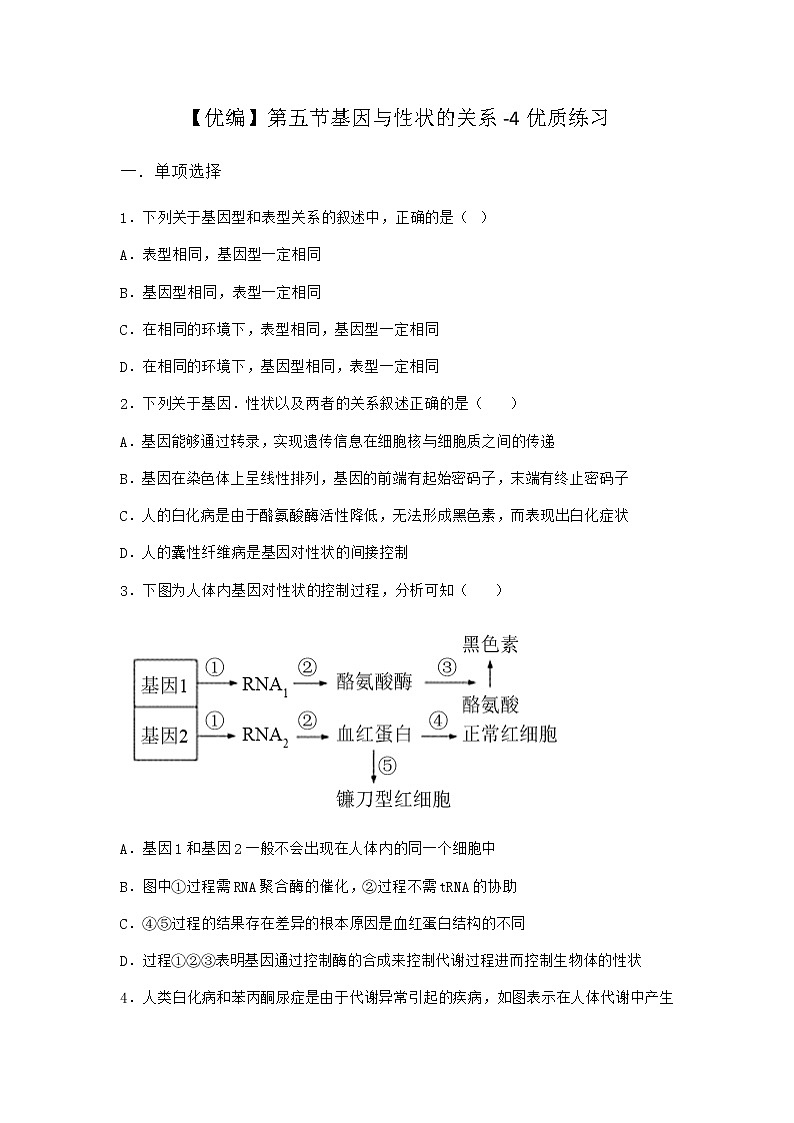 沪教版高中生物必修2第五节基因与性状的关系优质作业含答案5第1页