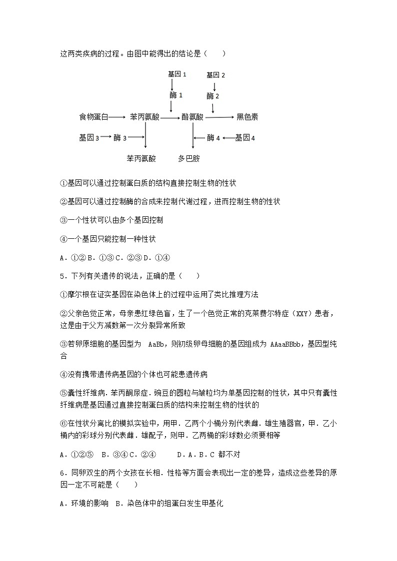 沪教版高中生物必修2第五节基因与性状的关系优质作业含答案5第2页