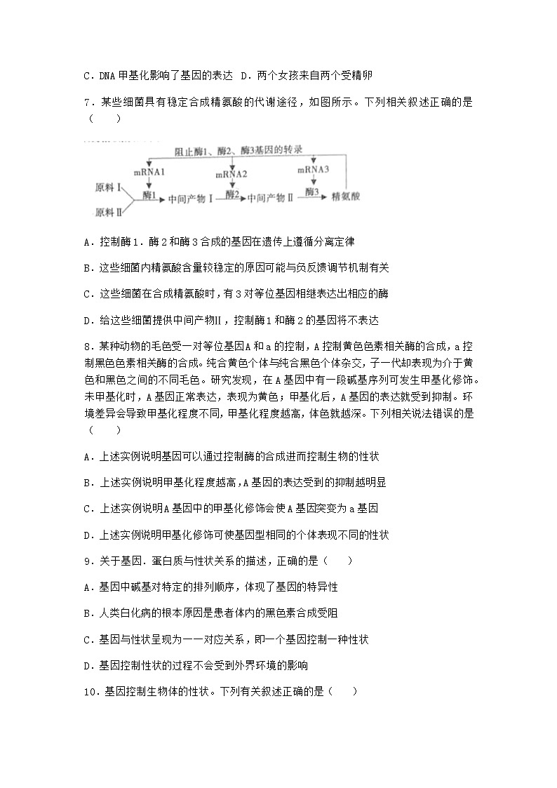 沪教版高中生物必修2第五节基因与性状的关系优质作业含答案5第3页