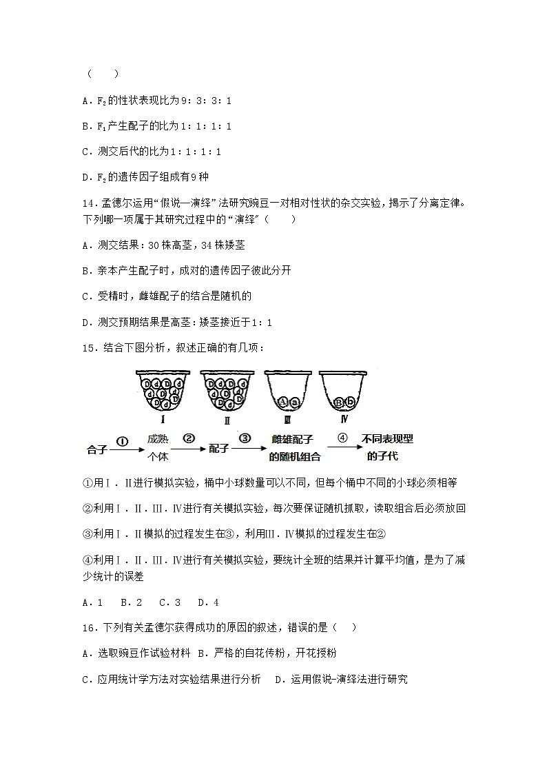 沪教版高中生物必修2第一节孟德尔遗传实验的科学方法优质作业含答案3第3页