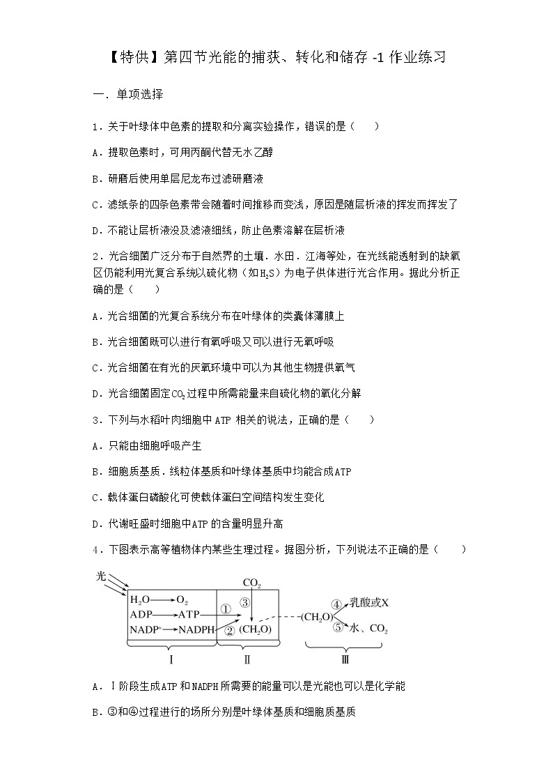 沪教版高中生物必修1第四节光能的捕获、转化和储存作业含答案101