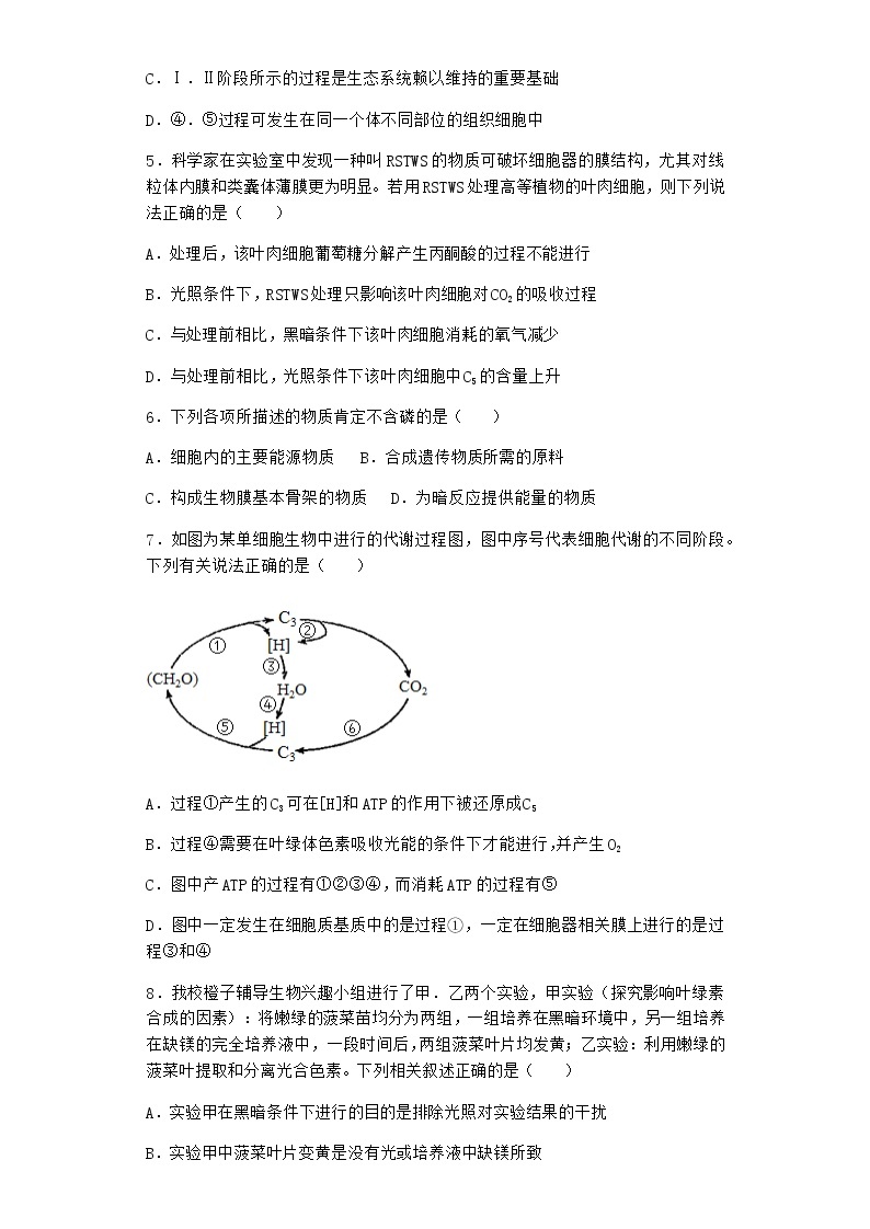 沪教版高中生物必修1第四节光能的捕获、转化和储存作业含答案102