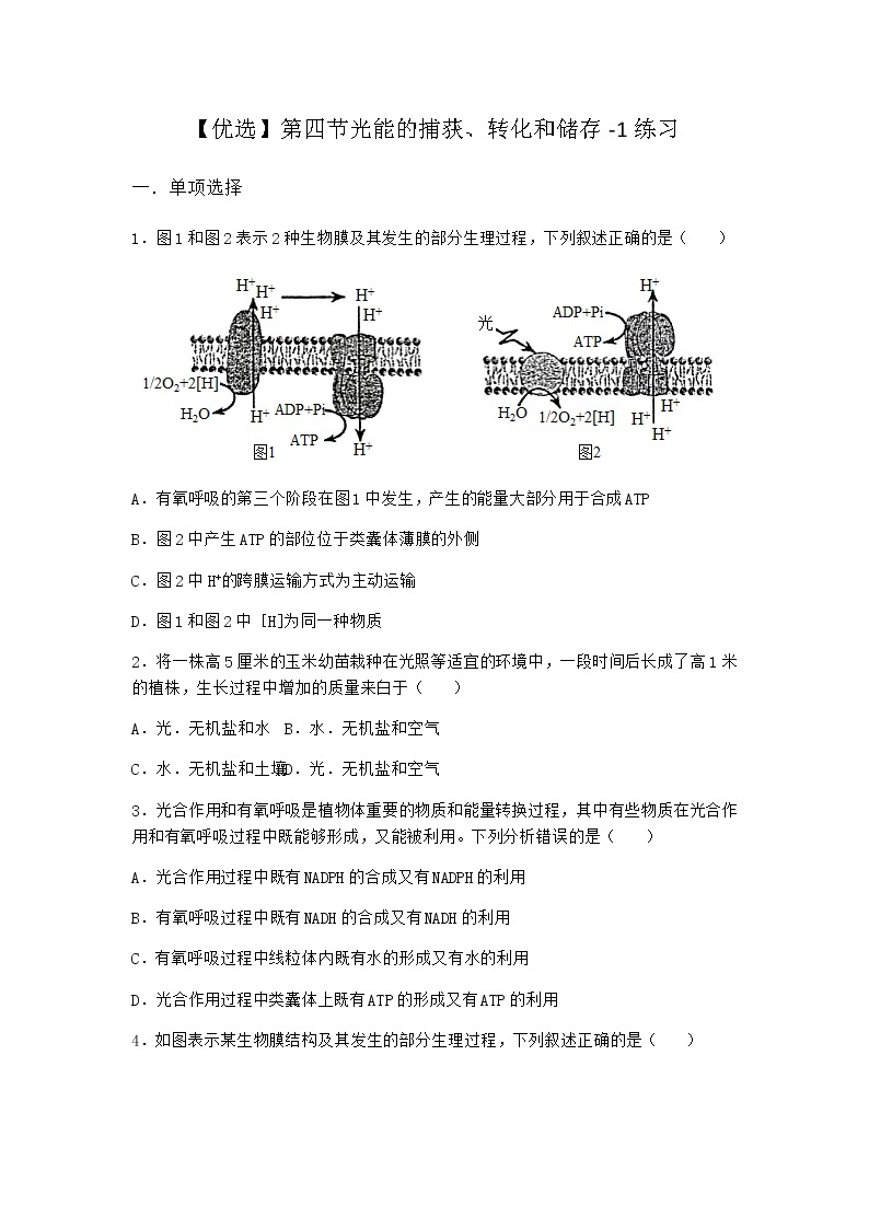 沪教版高中生物必修1第四节光能的捕获、转化和储存作业含答案201