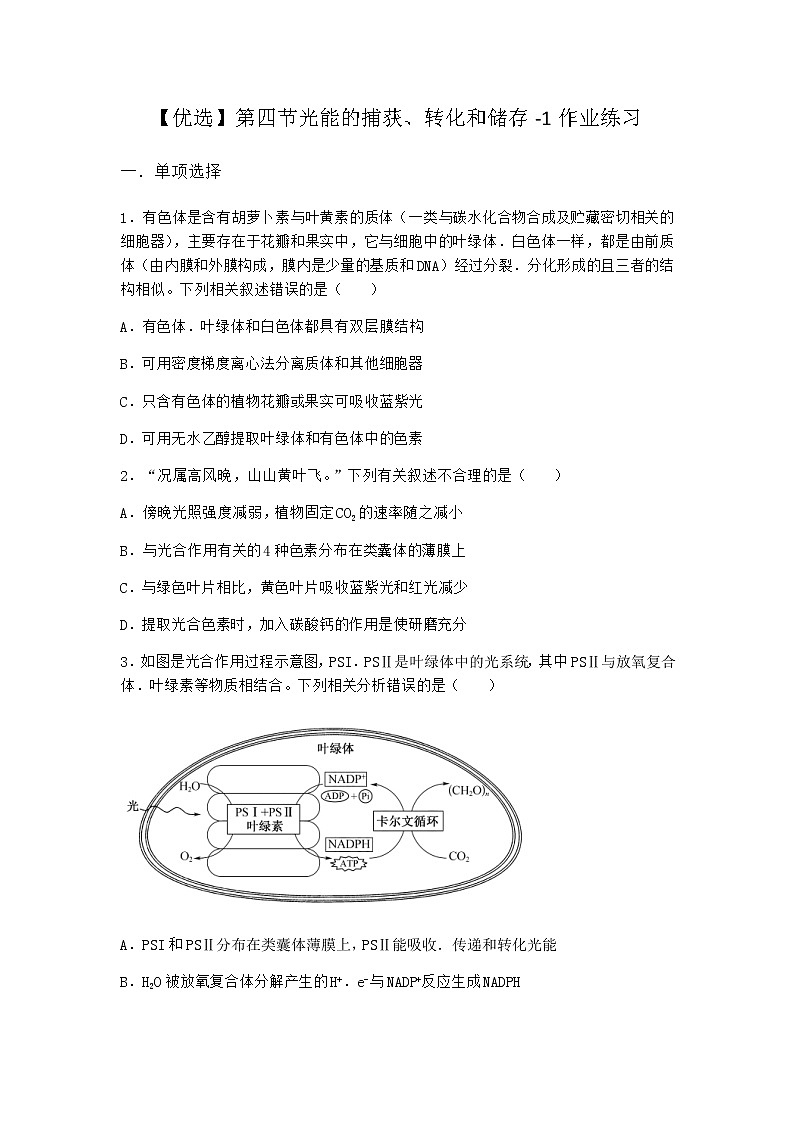沪教版高中生物必修1第四节光能的捕获、转化和储存作业含答案4第1页