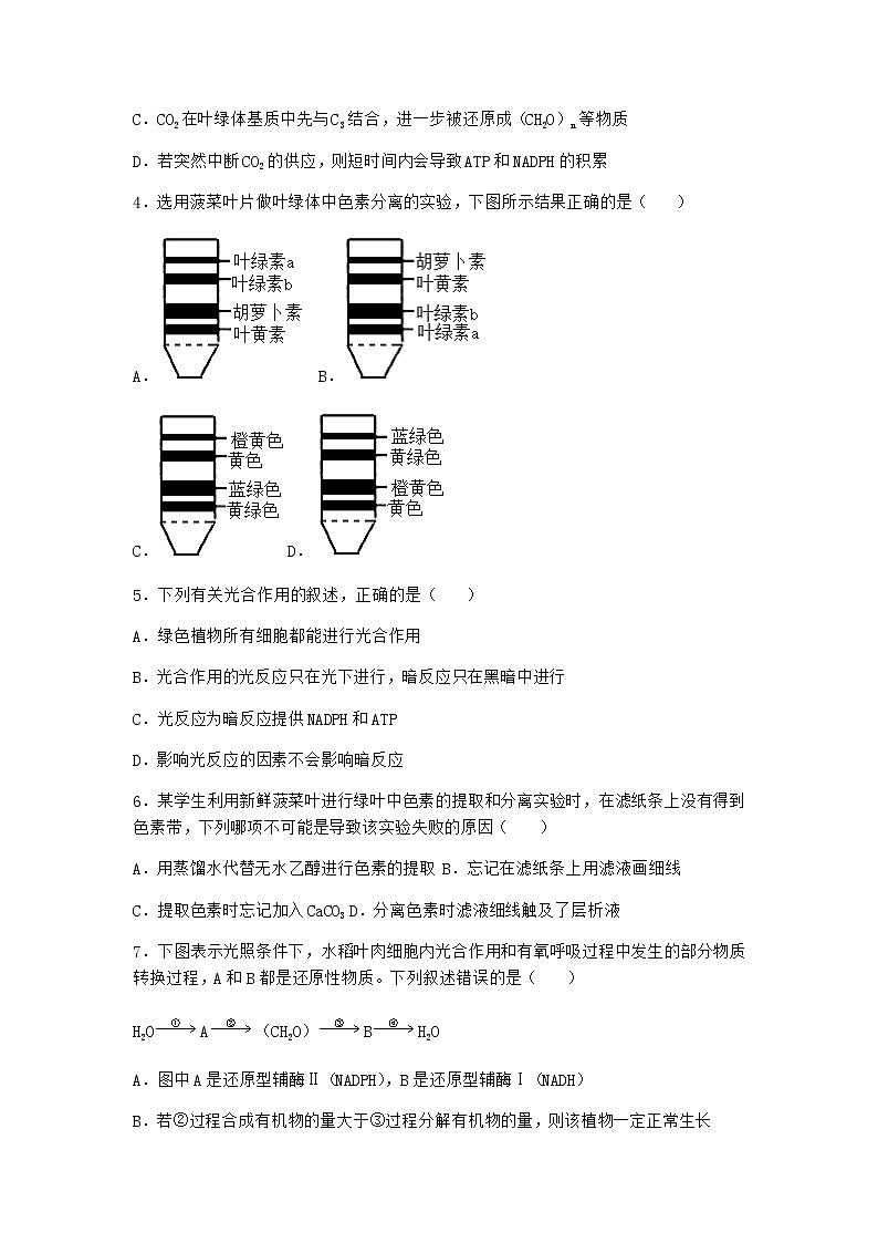 沪教版高中生物必修1第四节光能的捕获、转化和储存作业含答案4第2页
