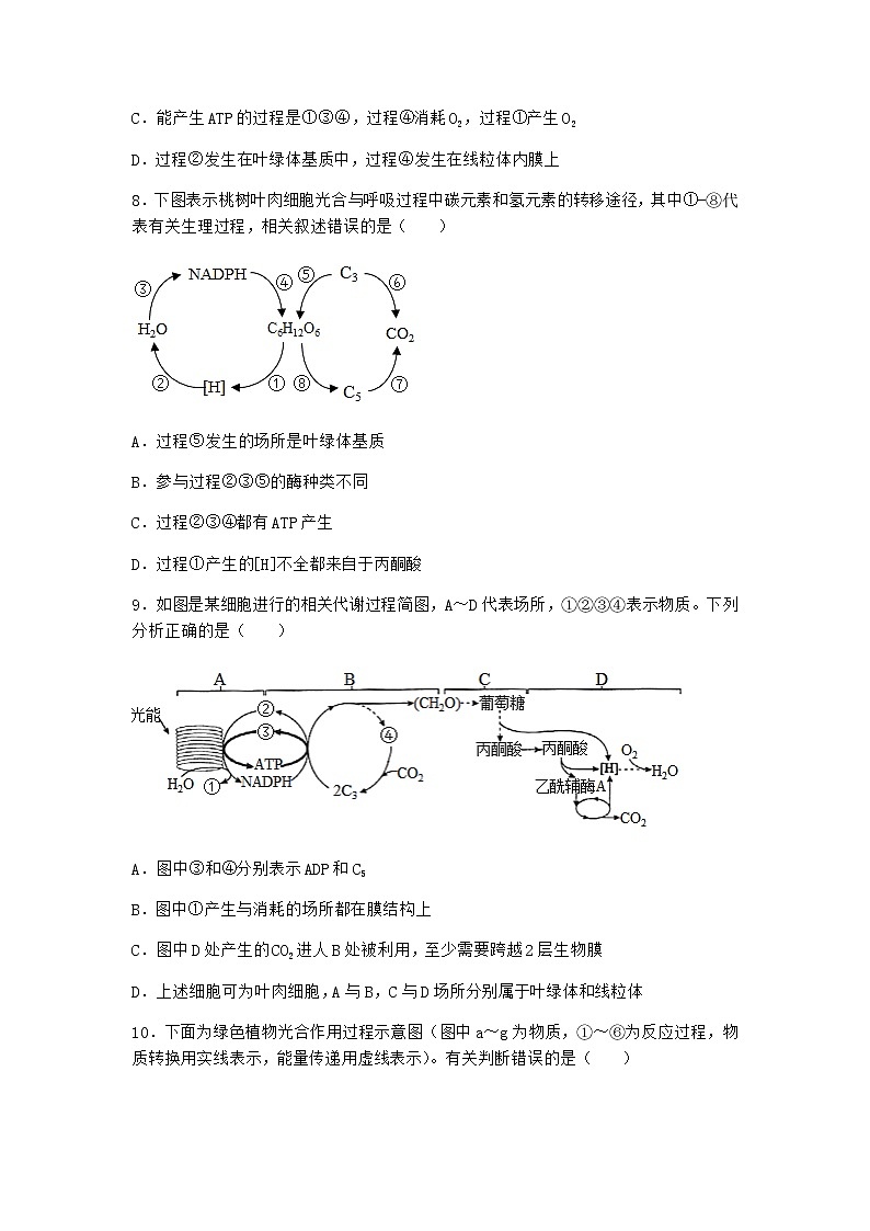 沪教版高中生物必修1第四节光能的捕获、转化和储存作业含答案4第3页