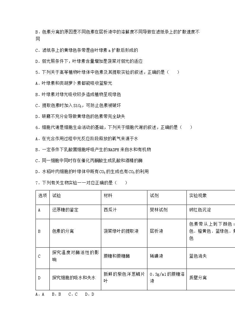 沪教版高中生物必修1第四节光能的捕获、转化和储存作业含答案5第2页