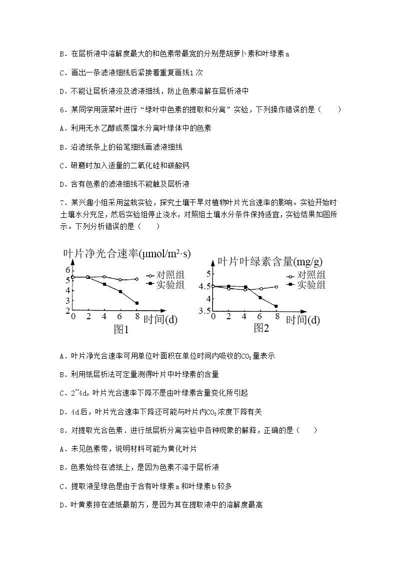 沪教版高中生物必修1第四节光能的捕获、转化和储存作业含答案602