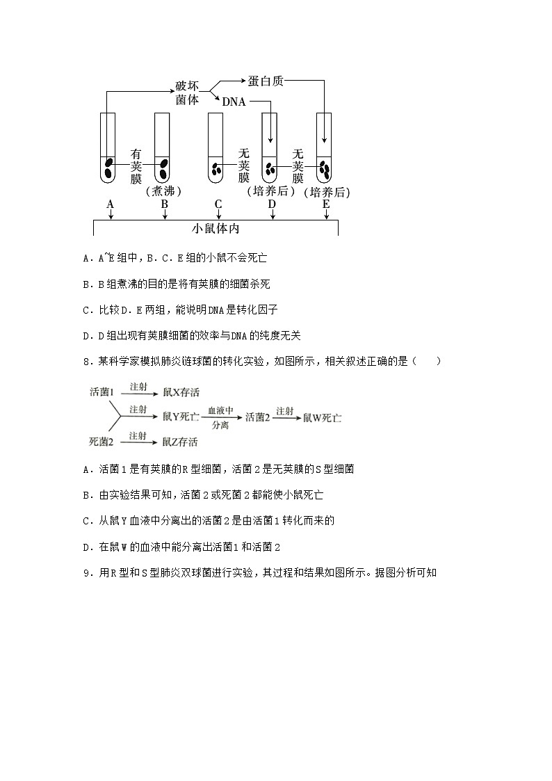 沪教版高中生物必修2第三节DNA分子的复制作业含答案2第3页