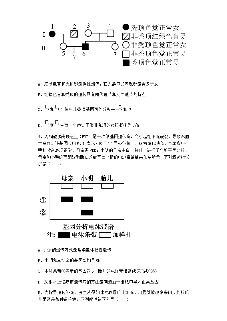 沪教版高中生物必修2第三节人类遗传病作业含答案102