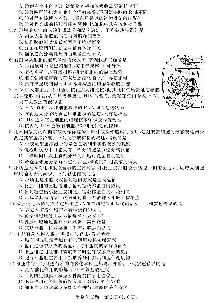 生物试卷第2页
