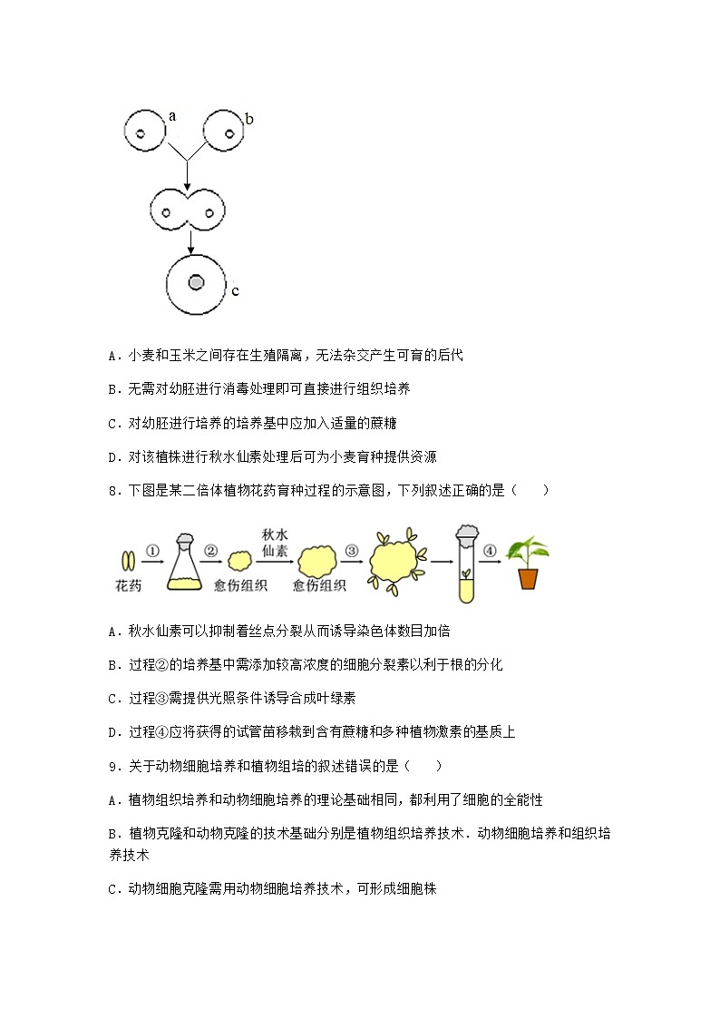 沪教版高中生物选择性必修3组织培养技术将外植体培育成新植株同步作业含答案4第3页
