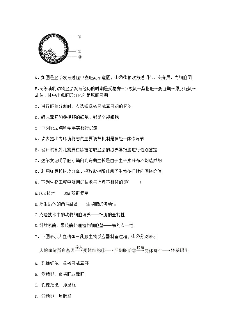沪教版高中生物选择性必修3胚胎形成经过了受精及早期发育等过程同步作业含答案202