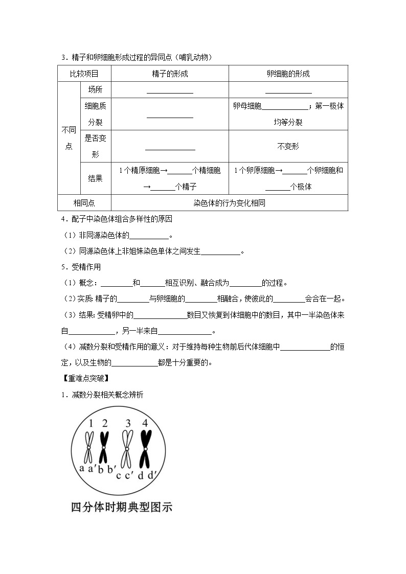 【备考2023】生物高考二轮复习专题精讲和分层训练——专题11 减数分裂与受精作用02