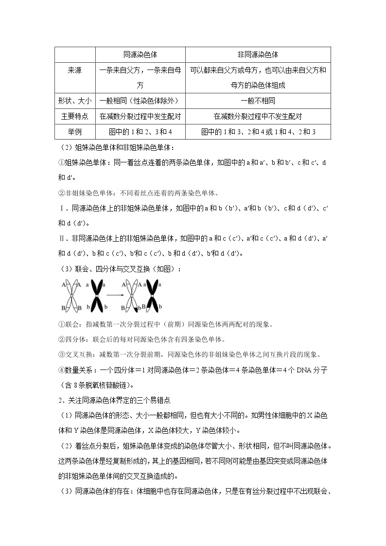 【备考2023】生物高考二轮复习专题精讲和分层训练——专题11 减数分裂与受精作用03