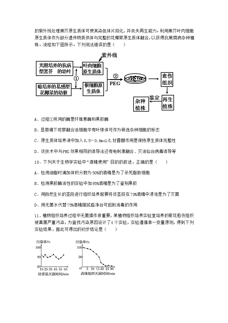 沪教版高中生物选择性必修3组织培养技术将外植体培育成新植株作业含答案403