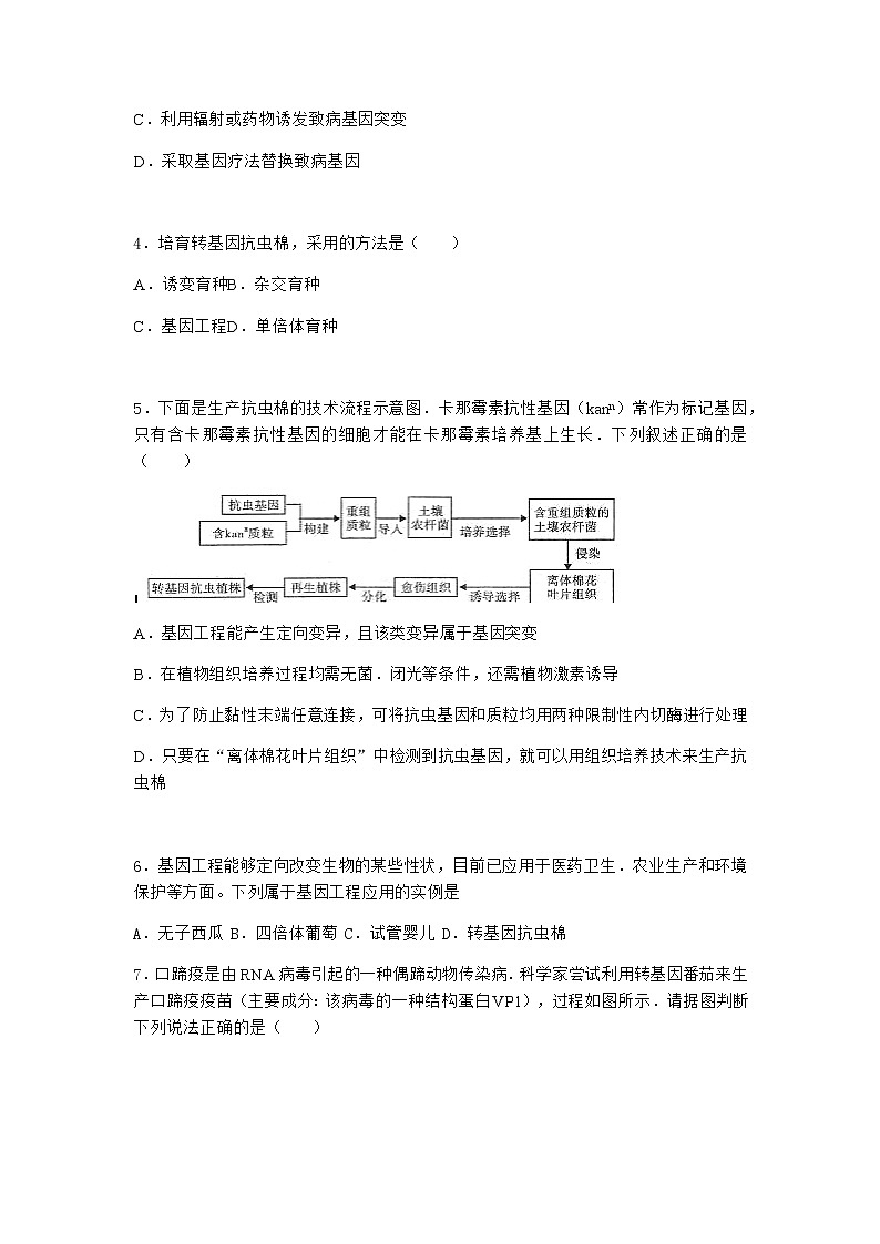 沪教版高中生物选择性必修3基因工程在医学领域贡献巨大作业含答案3第2页