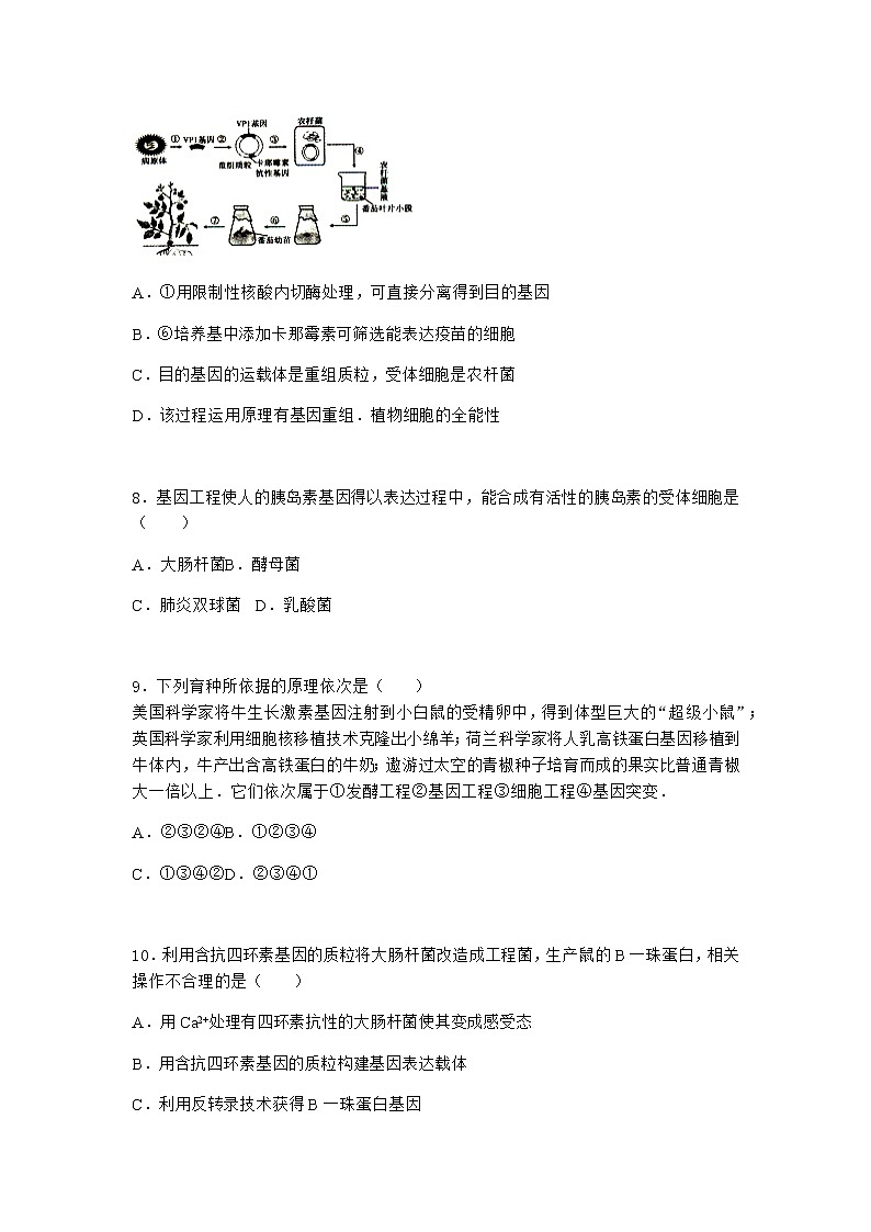 沪教版高中生物选择性必修3基因工程在医学领域贡献巨大作业含答案3第3页