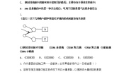 高中生物沪科版 (2019)选修3第三章  基因工程赋予生物新的遗传特性第一节  基因工程是一种重组DNA技术三、基因工程的基本操作程序课后作业题