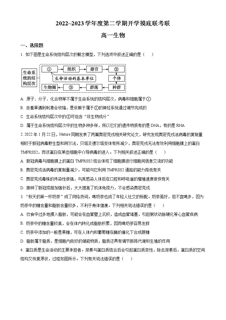2023安徽省十校联考高一下学期开学摸底联考试题生物含答案01