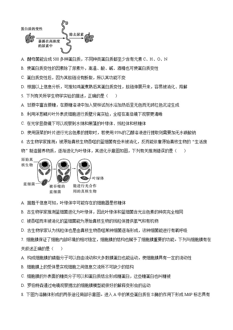 2023安徽省十校联考高一下学期开学摸底联考试题生物含答案02